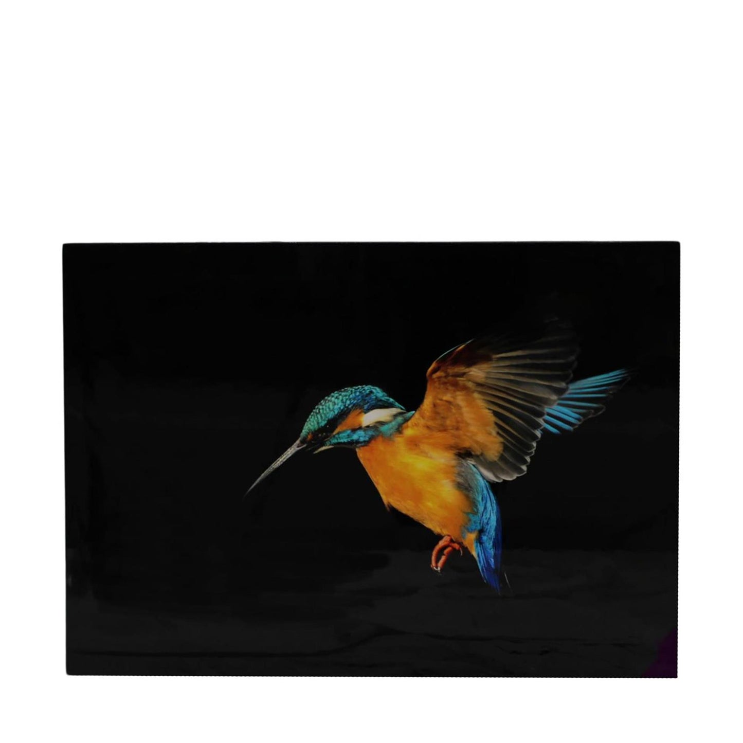 Dijk Natural Collection Quadro su tela Martin pescatore 58x2,5x78 cm