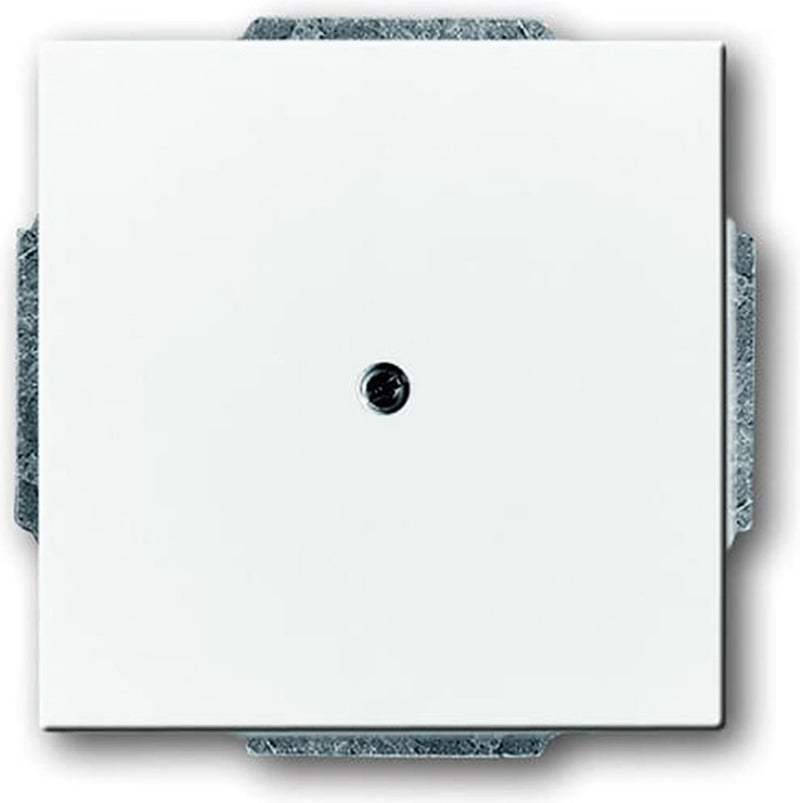 Busch-jaeger abb future solo control element piastra centrale quadro - 2cka001710a3161 - e2eyd