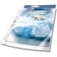 Durable show bags 268219 transparent