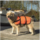 Giubbotto salvagente di sicurezza Beeztees - cane - x-lg - 41+kg