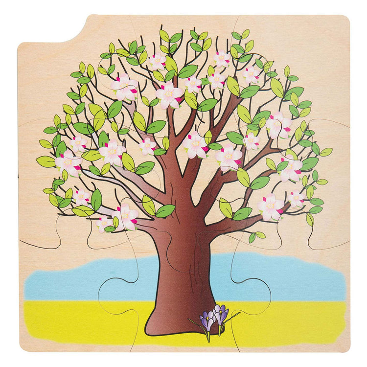 Rolf Rolf Growth e 4 strati Pozzs Wood Growth Tree, 36st.