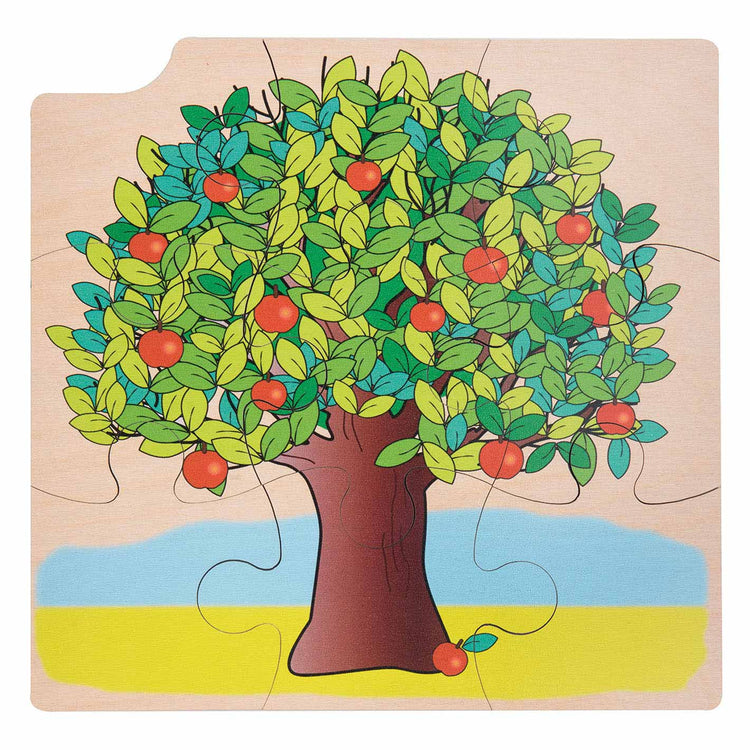 Rolf Rolf Growth e 4 strati Pozzs Wood Growth Tree, 36st.