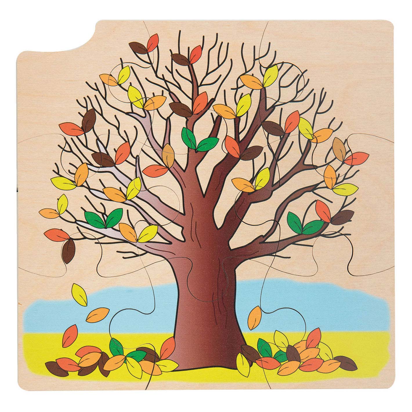 Rolf Rolf Growth e 4 strati Pozzs Wood Growth Tree, 36st.