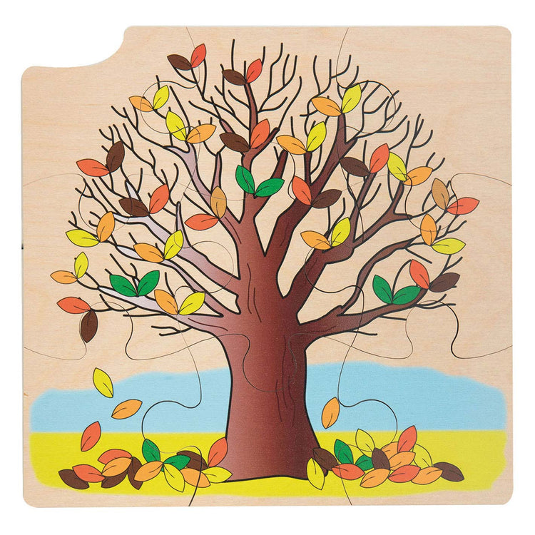 Rolf Rolf Growth e 4 strati Pozzs Wood Growth Tree, 36st.