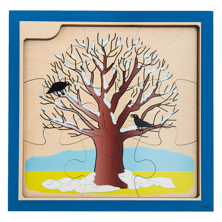 Rolf Rolf Growth e 4 strati Pozzs Wood Growth Tree, 36st.