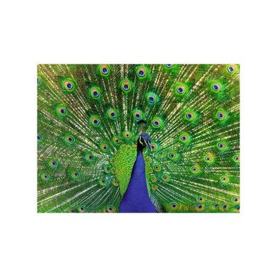 RAVENSBURGER JIGSAW Puzzle Animali colorati Pauw, 500st.