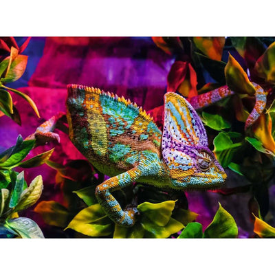 RAVENSBURGER puzzle puzzle animali colorati camaleonte, 500st.
