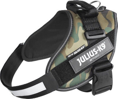 JULIUS K9 IDC IMBARME CHARMAGGIO