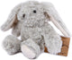 Portami in casa abbraccio di peluche di coniglio, 20 cm