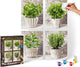 Dipinto Schipper con numeri - erbe aromatiche da cucina - pacchetto hobby