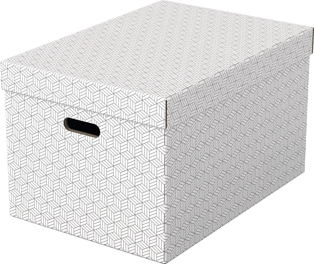 Scatola portaoggetti Esselte 628286 grande 55 l bianco