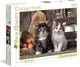 Clementoni - puzzel - 1000 stukjes - schattige kittens - puzzel voor volwassenen - high quality collection