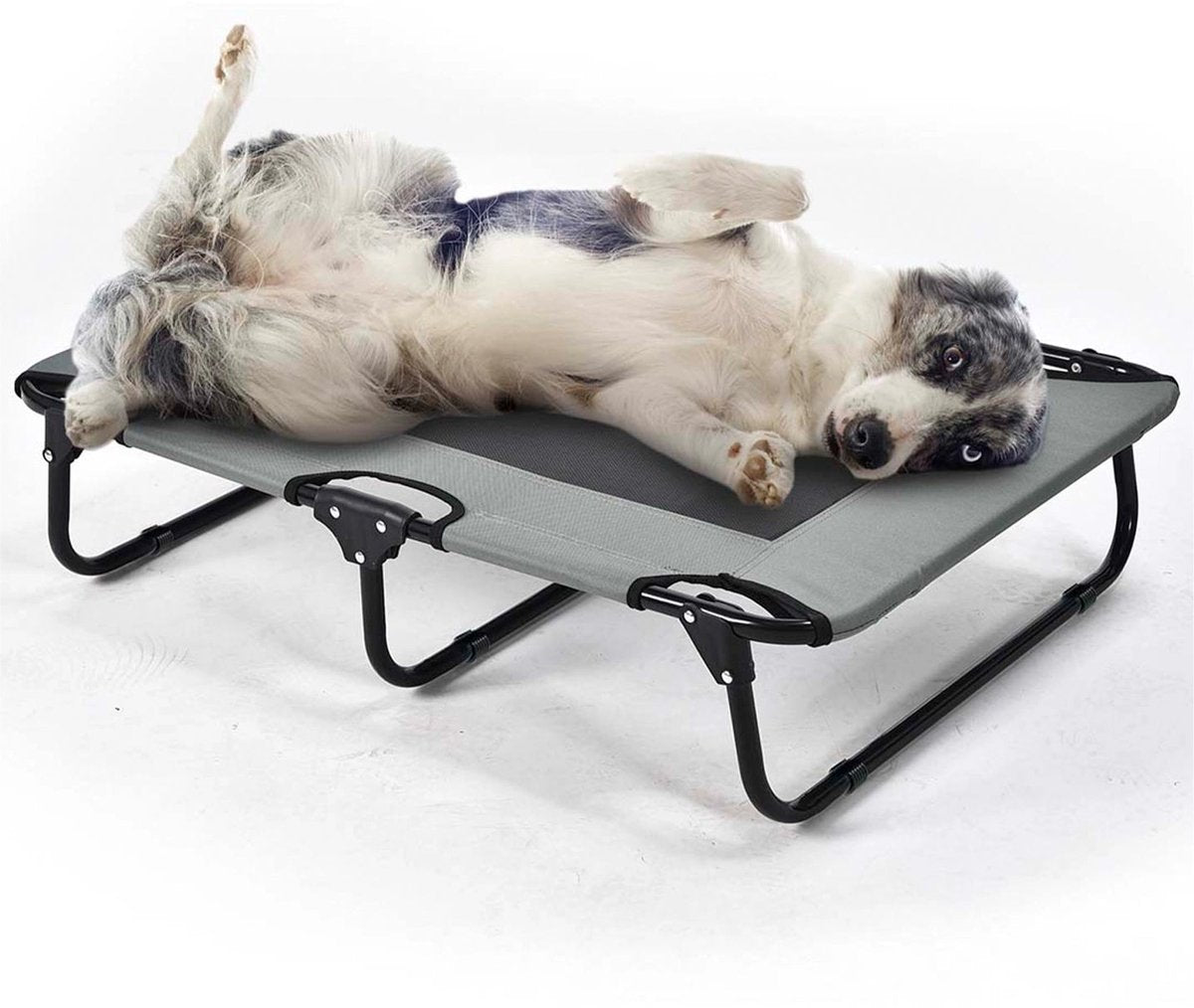 Duvo plus cama plegable para perros relax - xl