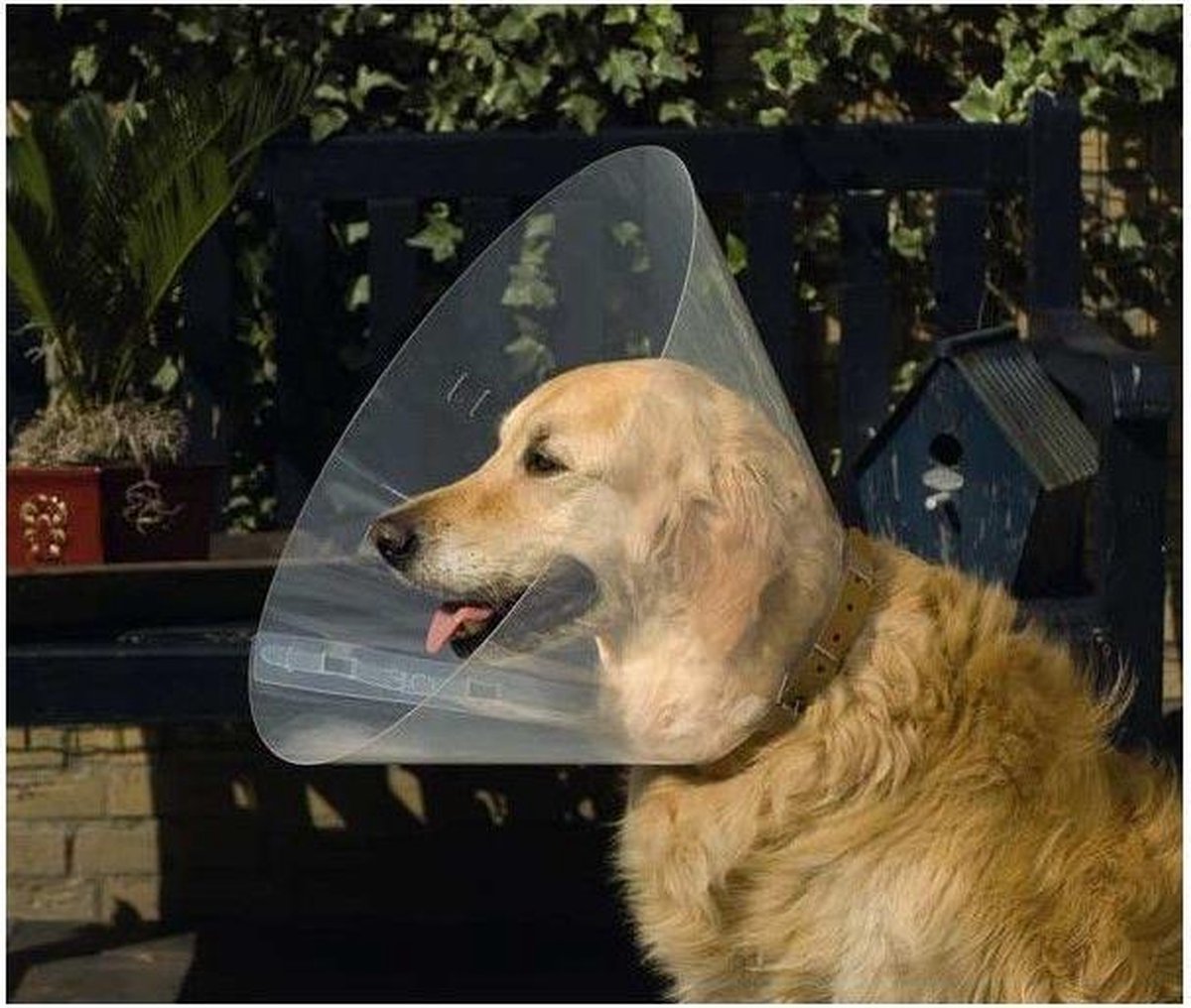 Collare per cani Beeztees xxl - cappuccio per cani - collare protettivo - plastica - 47-57x30 cm