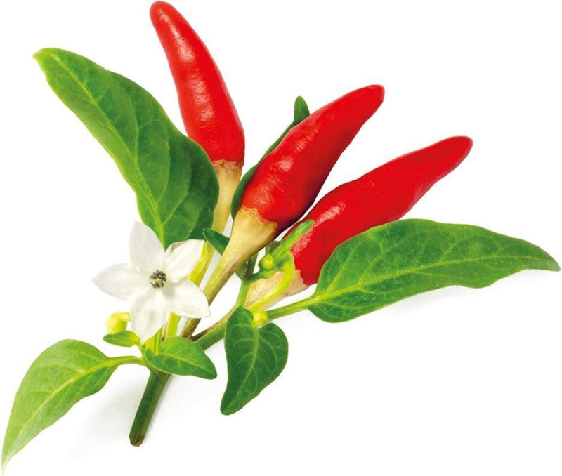 Clicca coltiva clicca coltiva ricarica peperoncino rosso piccante 3 pezzi