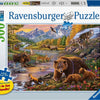 Ravensburger Wildernis, 500º.