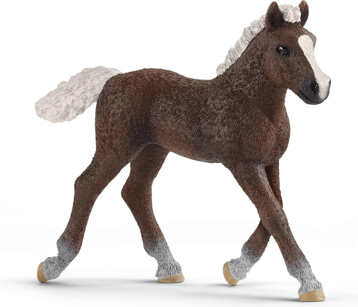 Schleich Horse Club Black Forest Black Veulen 13899
