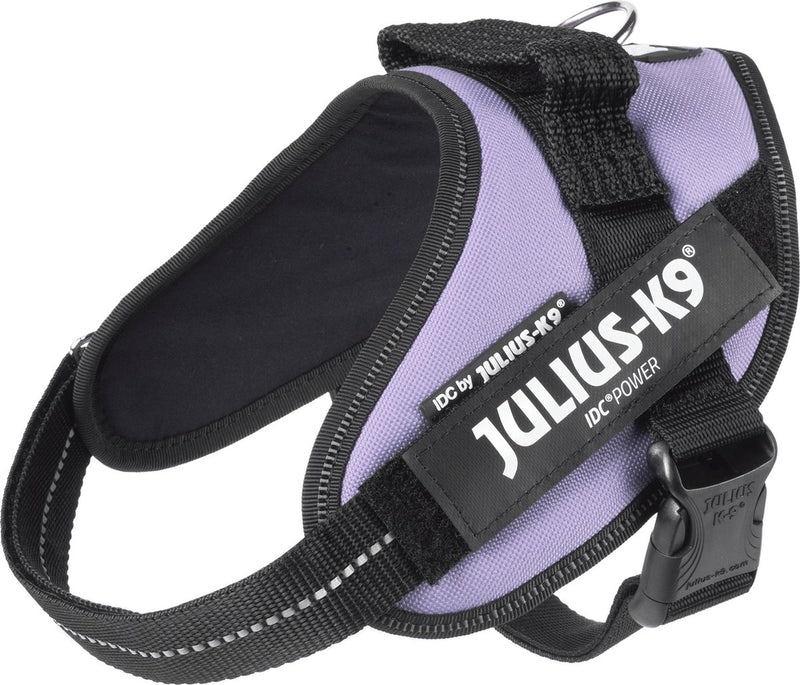 Julius k9 julius-k9 idc®arnés de potencia, s - mini, violeta