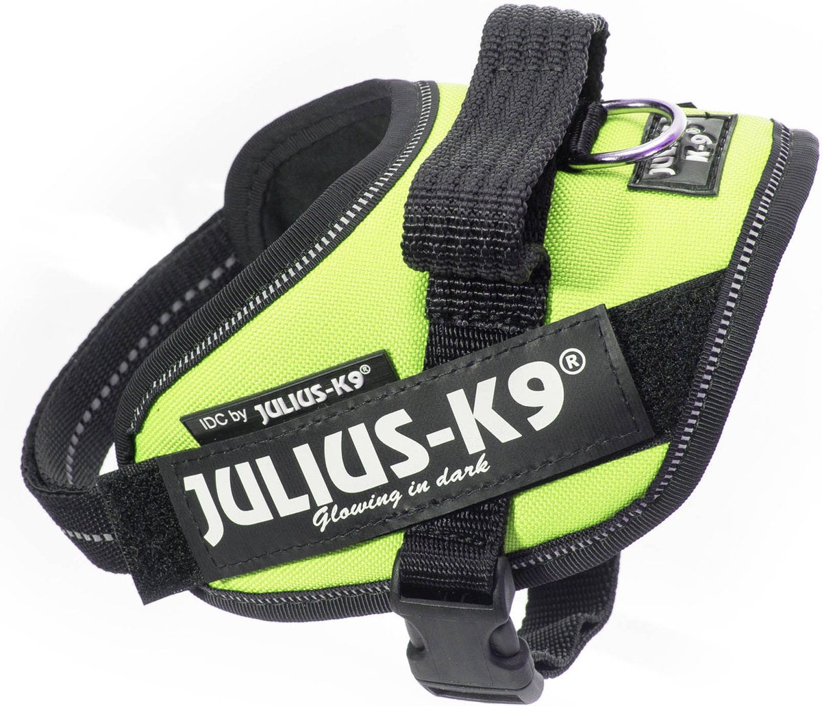 julio k9