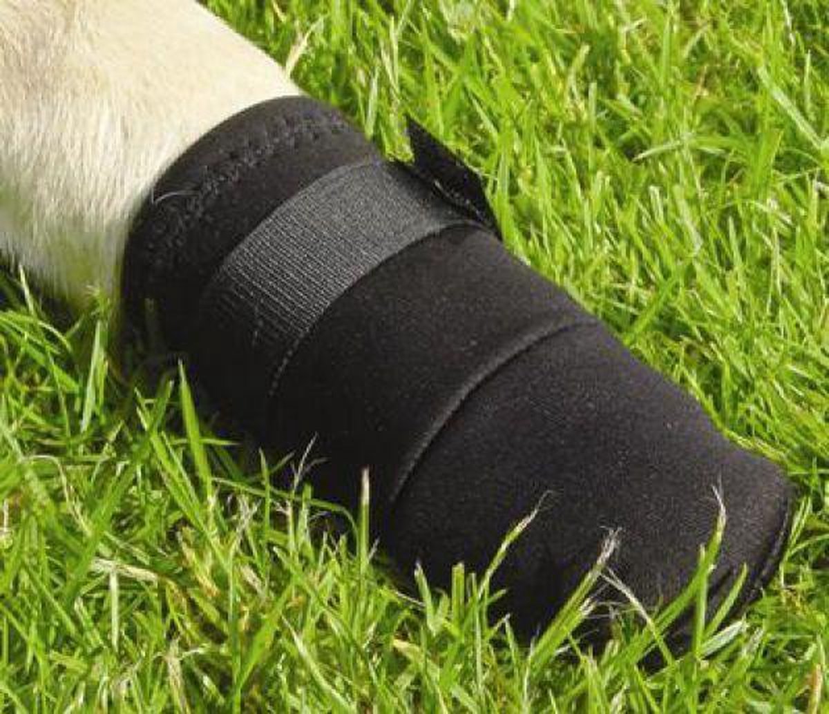 Scarpe protettive per cani Beeztees l - calzini per cani - proteggi zampe - nere - 2 pezzi - 18,5x8,5x8,5 cm
