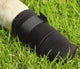 Beeztees Scarpe protettive per cani m - Calzini per cani - Protezione per zampe - Nero - 2 pezzi - 18x7x8 cm