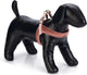 Designed by lotte velura - hondentuig - roze - xs - 20 mm x 46 cm