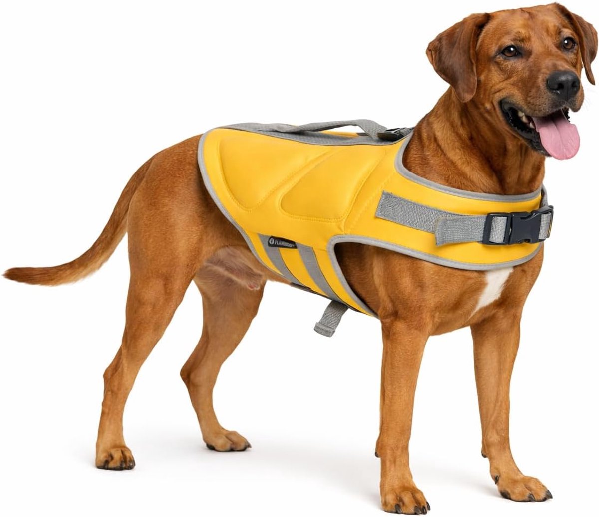 Menno's dierenwereld zwemvest hond – maat xl (46,5cm) – swimmy geel – extra drijfvermogen – verstelbare banden – handgreep