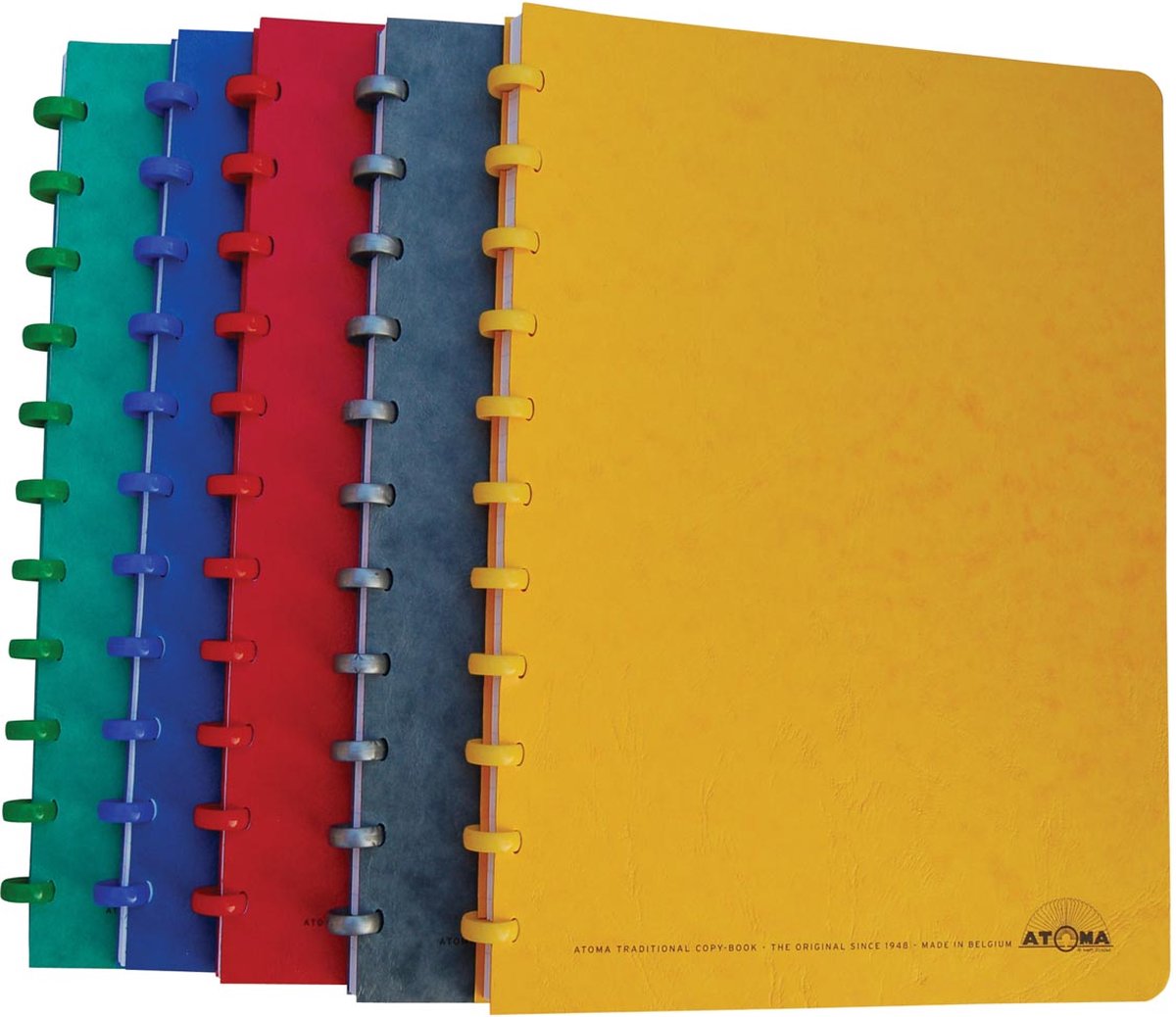 Atoma patroonschrift formaat 21 x 297 cm (a4) 100 bladzijden geruit 5 mm