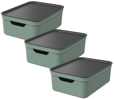Rotho jive cajas de almacenamiento, juego de 3 cajas de almacenamiento de 10 l con tapa, plástico (pp reciclado), verde antracita, 3 x 10 l, 36,5x26,5x13cm