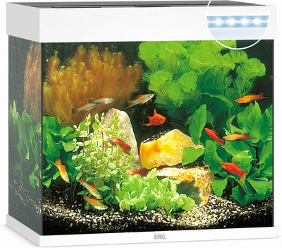 Acquario Juwel lido 120 led - bianco - 120l - 61 x 41 x 58 cm
