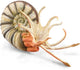 Statuetta Collecta - pleuroceras ammonite - (xl) - preistoria - dipinta a mano - miniatura