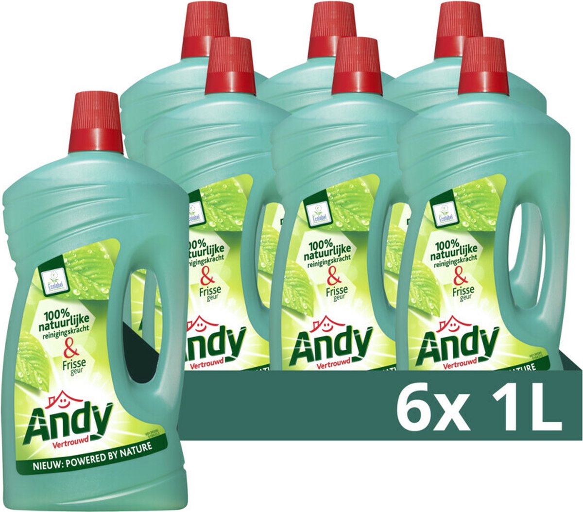 Detergente multiuso Andy - Familiare - 6 bottiglie x 1 l - Confezione risparmio