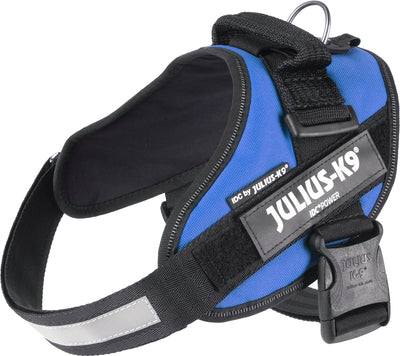Julius k9 julius-k9 idc power harness - m - size 0 - blue
