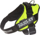 Julius k9 julius-k9 idc powertuig - hondentuig - xl - maat 2 - neon
