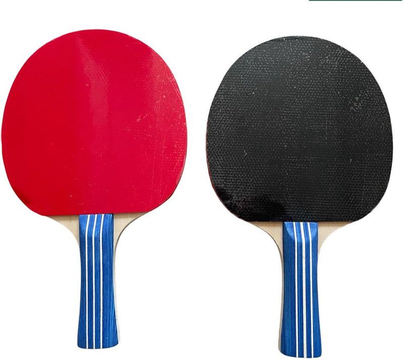 Raqueta de tenis de mesa Sportx 4 estrellas madera