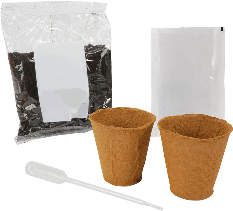 Kidscovery Kidscovery Experiment Herb Garden Set S