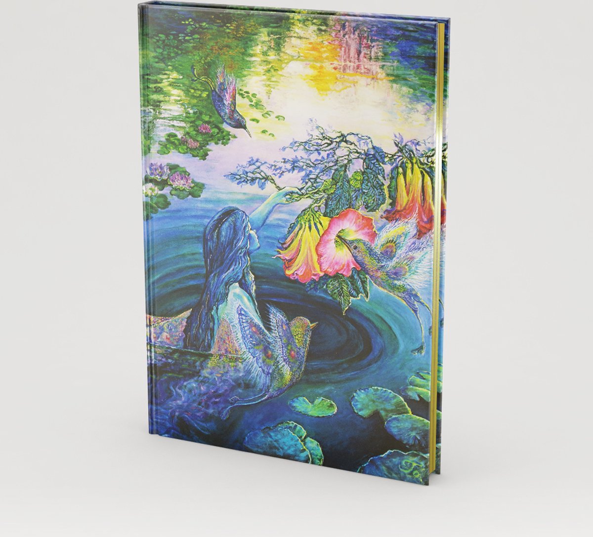 Cuaderno extragrande Peter Pauper - Sueños de colibrí - 18x23 cm