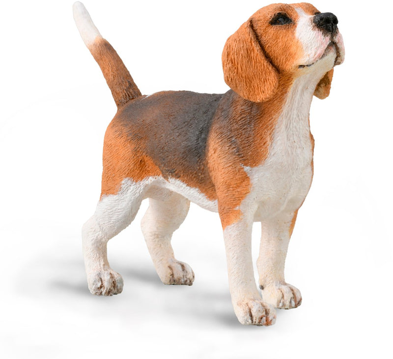 Statuetta Collecta - beagle - (m) - cani - dipinta a mano - miniatura