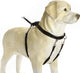 Beeztees deambulatore delicato - pettorina per cani - nera - xl