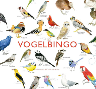 Bingo sugli uccelli cosmici