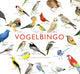 Bingo de pájaros del cosmos