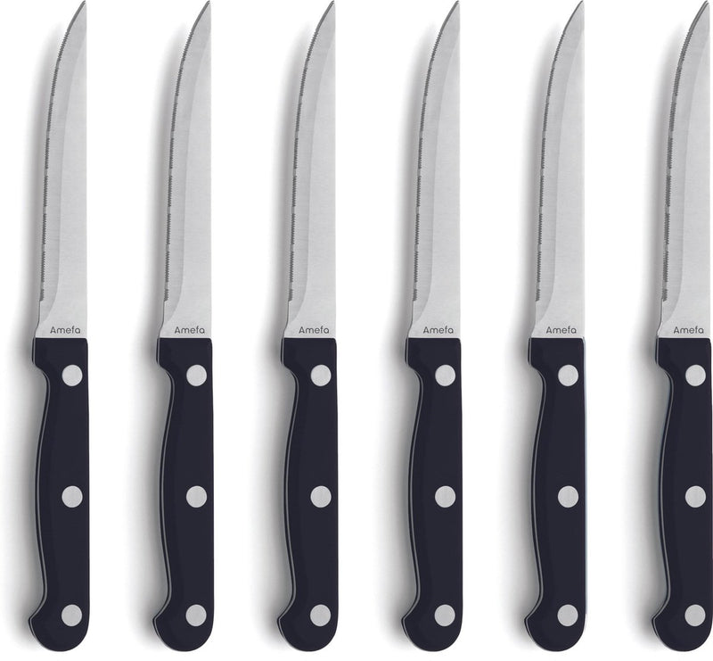 Amefa steakmessenset - 6-delig - 6 persoons - vaatwasserbestendig - vleesmes
