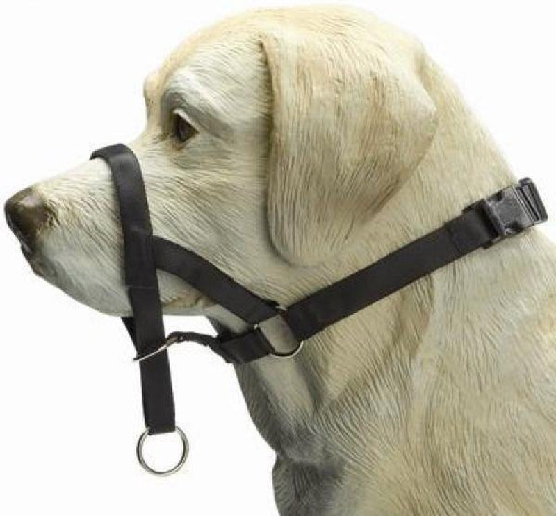 Beeztees control de perros - collar para perros - negro - xl