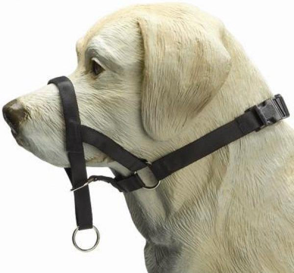 Beeztees dog control - dog collar - black - xl