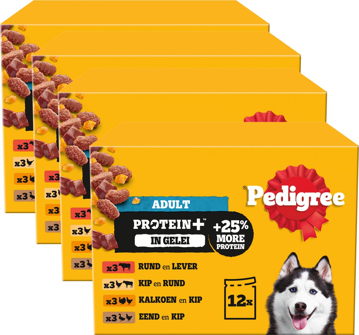 Pedigrí