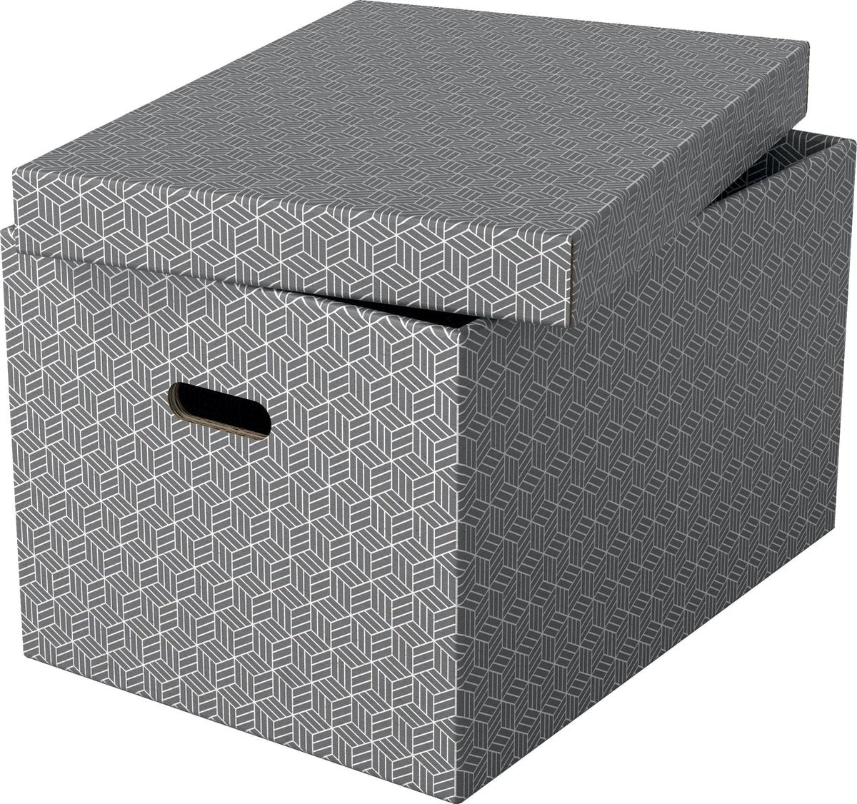 Scatola portaoggetti Esselte 628287 grande 55 l grigio