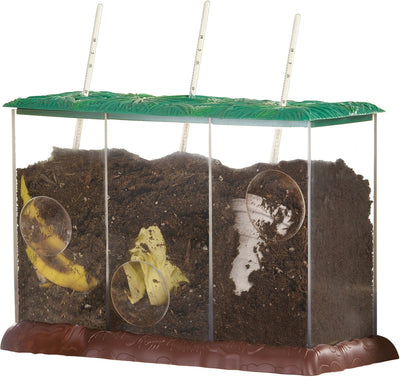 Risorse didattiche contenitore per compost, giocattoli educativi, biologia trasparente. - 3+
