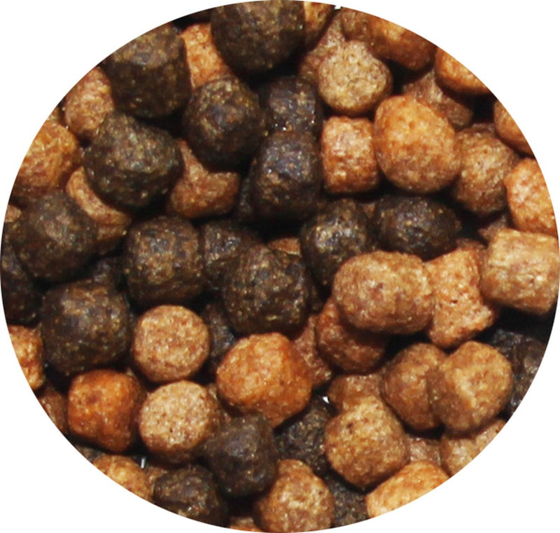 Ubbink Ubbink Fish Food Heiko Koi Menú de color 6 mm 3 L
