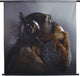 Hd collection wanddoek aap koptelefoon 3x105x102cm