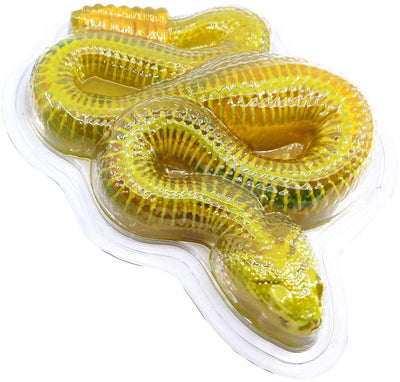 Dissect-seziona una mega confezione regalo di serpente a sonagli